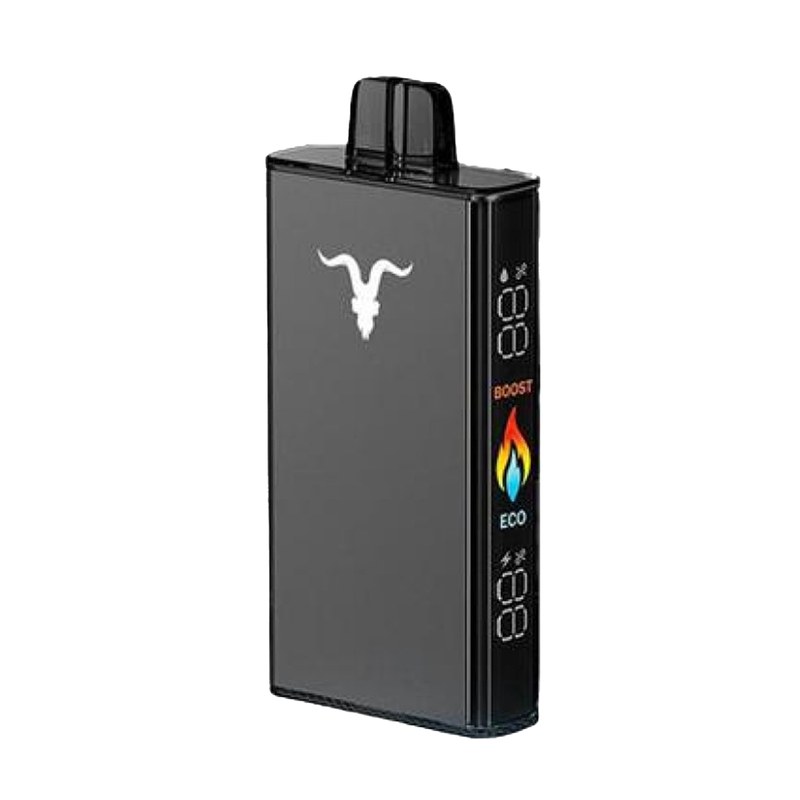 Ignite V250